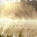 Vero, the new Instagram Killer?