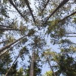 New year and Finally done with all the changes!