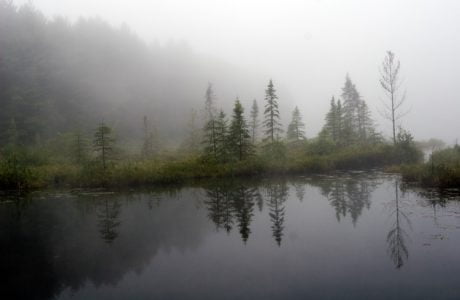 Algonquin park lake in morning fog