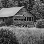 Carden Alvar, new Provincial Park in the making!