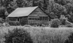 Old barn along a road in Carden Alvar