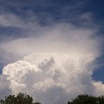 Adobe release new products versions